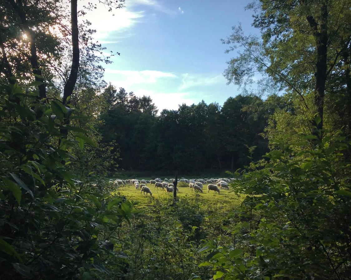 Domki Nad Pilica Krzetow Екстериор снимка