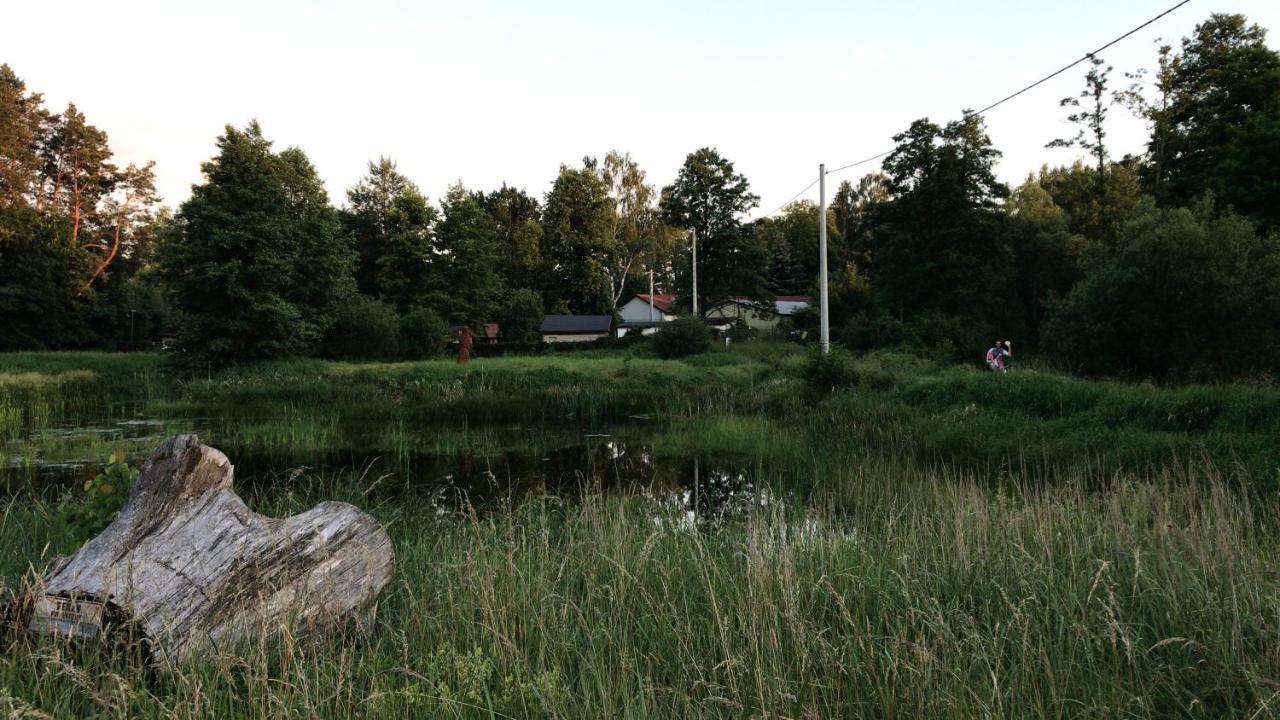 Domki Nad Pilica Krzetow Екстериор снимка