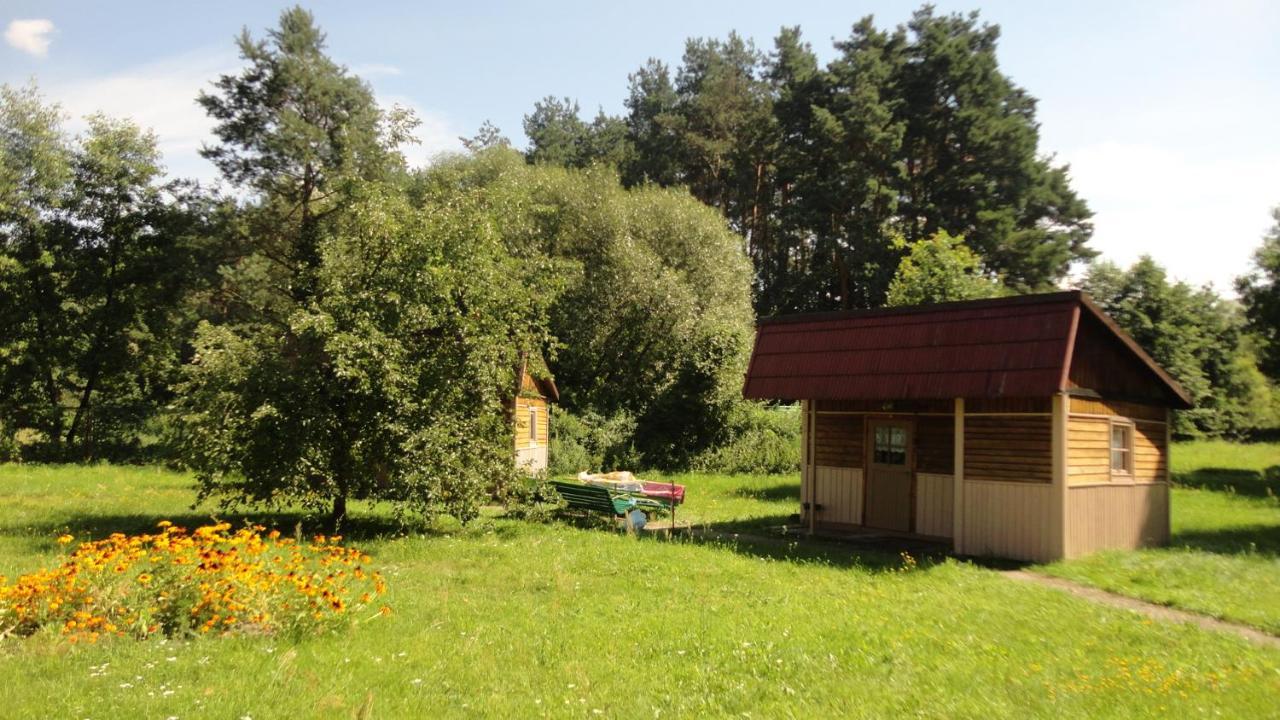 Domki Nad Pilica Krzetow Екстериор снимка
