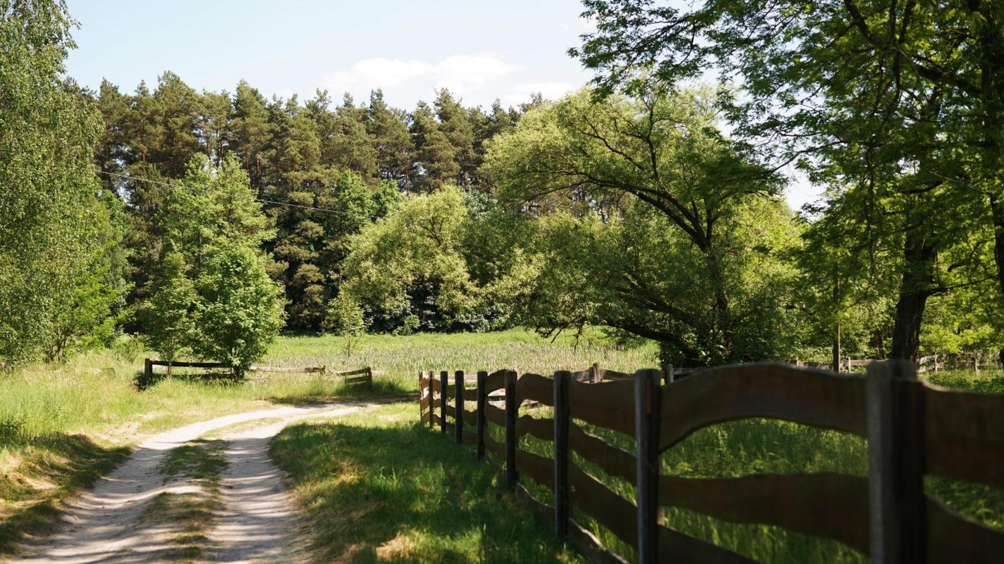Domki Nad Pilica Krzetow Екстериор снимка